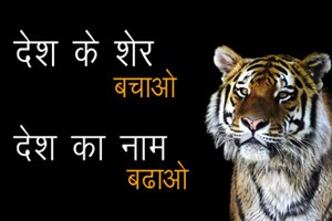 Save Tiger Slogans