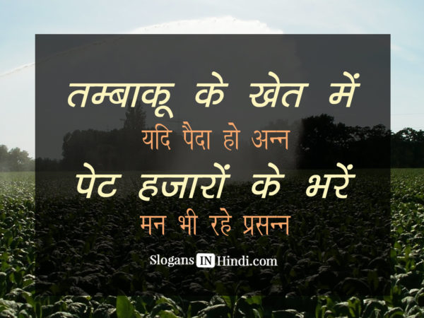 Tambaco Ke Khet Mai Yadi Paida Ho Aan